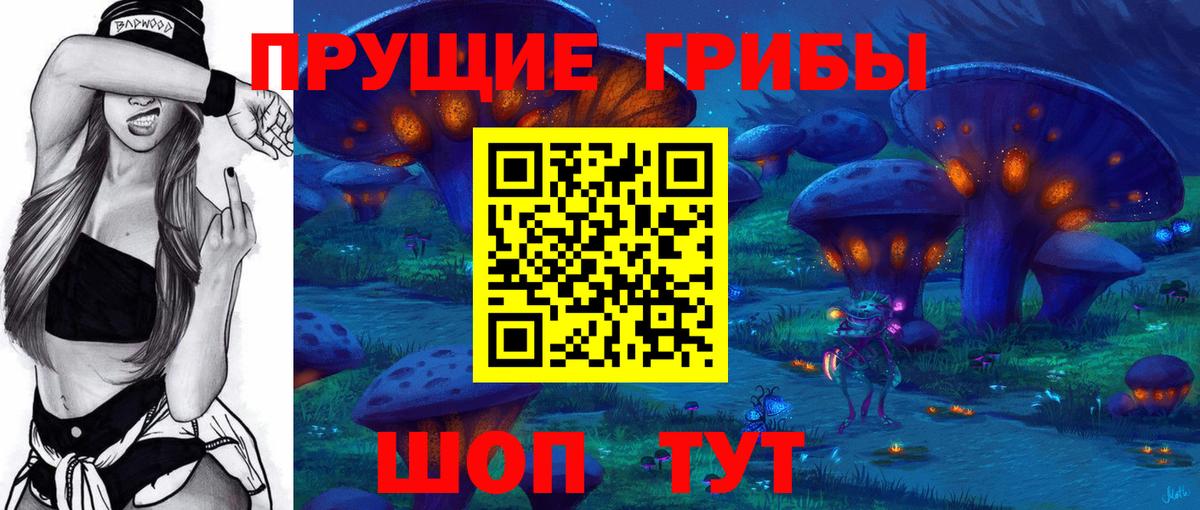 Лыткарино  Псилоцибиновые грибы прущие грибы  где найти наркотики  Вход с VPN 
